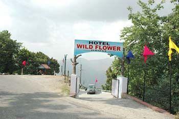 Wild Flower House Массури Экстерьер фото