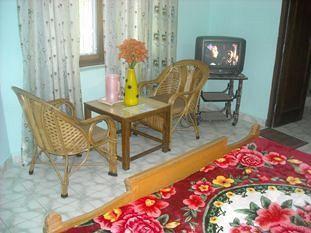 Wild Flower House Массури Экстерьер фото